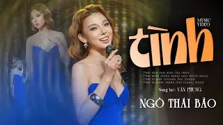 TÌNH - NGÔ THÁI BẢO | Sáng tác: Văn Phụng | Official Music Video