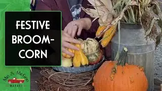 Festive Broom-Corn | Fall Decor (2020)