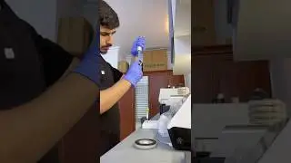Blood tests in veterinary laboratory #labrador #lab #vettech #sound #funny #foryou #learning