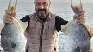 Adana Karataş Tekne Domuz Balığı  Doldu..  