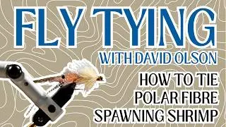 POLAR FIBRE SPAWNING SHRIMP: FLY TYING WITH DAVID OLSON