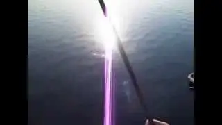 barry dock mullet.avi