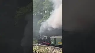 The weisseritztalbahn ||Steam Train||Saxony||Germany