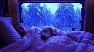 Nighttime Relaxation with Heavy Rain and Thunder White Noise