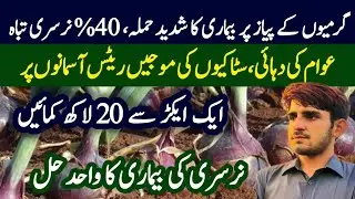 How to control onion diseases | onion rates in Pakistan | KR farming