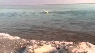 5 minute ICE swim in Lake Michigan
