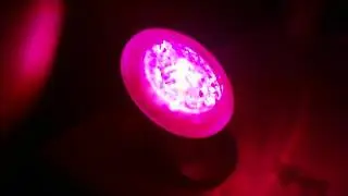 Laser Sphere Projector - Autism Calming Sensory Room Light