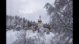 SINAIA , BASM DE IARNĂ 🤍 !