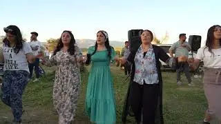 جم شرف