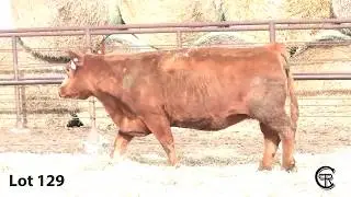 Lot 129  Post Rock