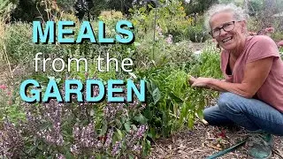 Garden Harvest for Delicious Freezer Meals | Chilli Bean Recipes