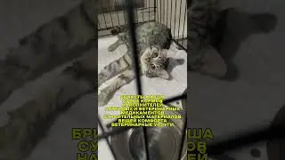 Срочно пополняю резерв