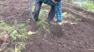 Allotment Grow How - Digging The Plot #gardeninguk #ukgardening