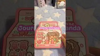 Journal With Manda Episode 108 #fypyoutube #journal #journaling #stickers #aesthetic #journaltime