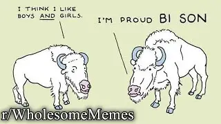r/WholesomeMemes | he gotta bi son