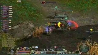 Aion Low Level Boss Killing (Compilation)