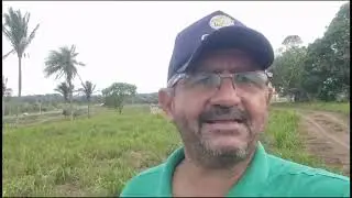 Manejo do Panicum Zuri com ro&ccedil;adeira no final da seca.