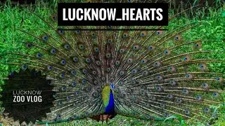 My first Vlog Lucknow Zoo|| Lucknow_hearts