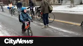 Human bike lane protests cycling path removal in Montreal&rsquo;s Outremont