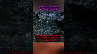 WARFRAME UNHINGED || Birds