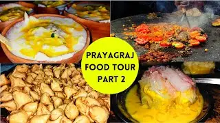 Old and Famous Iconic Food Joints || Prayagraj Food Tour Part 2 || Indian Street Food || Foodie Niks