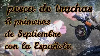 PESCA DE TRUCHAS EN SEPTIEMBRE