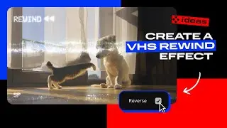 How to create a VHS rewind effect | Movavi Ideas