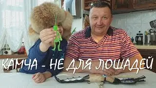 КАМЧА I РОЗЫГРЫШ - завершен