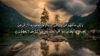 Al Quran Para 21/30 | Maher Al Muaiqly | With Urdu Translation | Verse by Verse