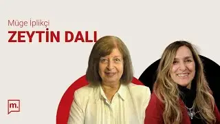 Arın Dilligil Bayraktaroğlu anlatıyor: Muhteşem Kuzenler'in yazım sürecinde neler yaşadı?