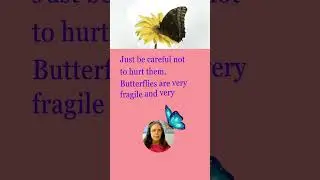 BUTTERFLIES | SPRING ACTIVITIES - #english with Teacher Ruth #eslteacher #englishlanguage