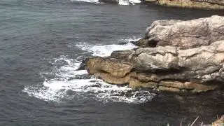 Cape St George