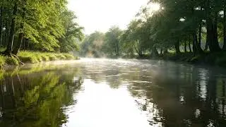 Peaceful River Ambient Music | Deep Relaxation, Sleep & Meditation 