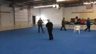 Lira Obedience Debut (CDSP Starter Novice) 2-4-17