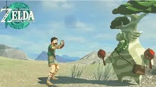 Diggi es geht weiter: HYRULE! TOTK 100% Run – Neue Krogs, neue Chaos-Momente! 🌍✨
