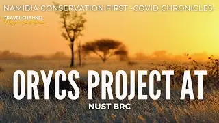 E38 ORYCS Project at NUST BRC