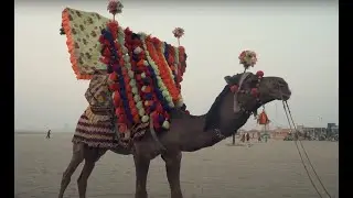 Clifton Beach, Kariachi, Pakistan