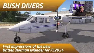 First Impressions of the Islander BN2 from Blackbox Simulation for FS2024