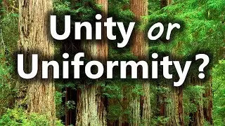 Unity or Uniformity? - Nader Mansour