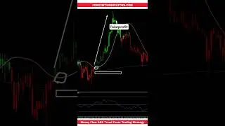 Money Flow ADX Trend Forex Trading Strategy