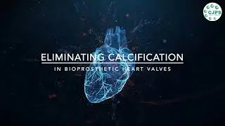 BHV Calcification Overcome by Two-Step Decellularization Strategy #videoabstract #science #research