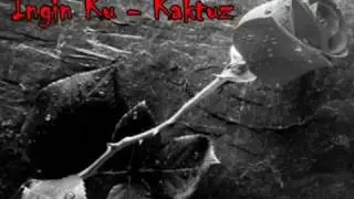 Kaktuz - Inginku (lirik)