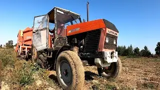 Kr&oacute;lowa Anna i Ursus serii ciężkiej z Grimme SE75-30