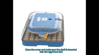 70H Auto Humidity Control 12V 220V Incubator
