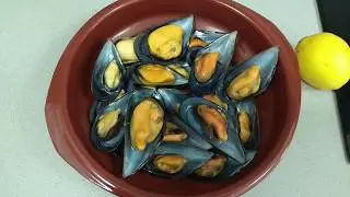 Mejillones al Vapor con Mambo, Iris Cocinando con Mambo!