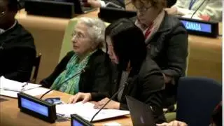 Ms. Wang Le - Save the Children China - February UN Post-2015 negotiations