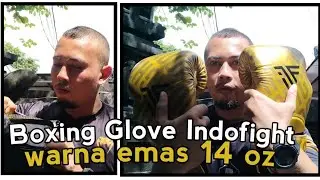 INDOFIGHT gold boxing glove size 14 oz