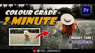 Premiere Pro Colour Grading || Moody Tone || #premierepro  #tutorial #colourgrading #moodytones