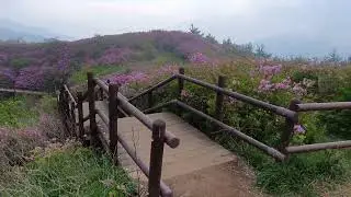 2026년 1월 10일
