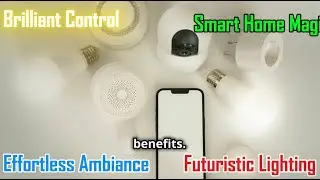 Choosing the Best Smart Lighting System: Are App-Controlled Lights Worth It?